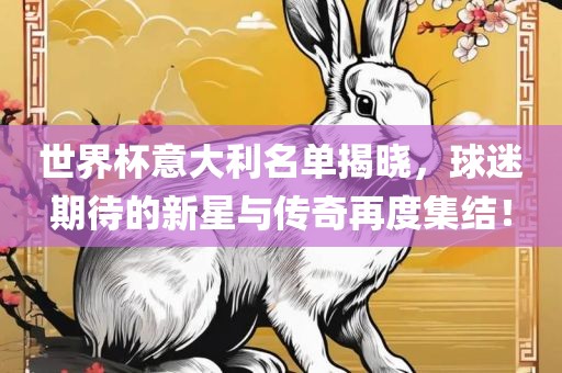 世界杯意大利名单揭晓，球迷期待的新星与传奇再度集结！眉山市正发家政服务有限公司