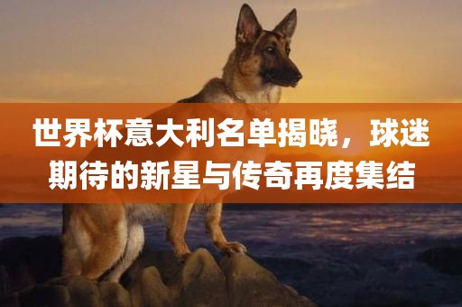 世界杯意大利名单揭晓，球迷期待的新星与传奇再度集结眉山市正发家政服务有限公司