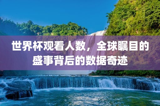 世界杯观看人数，全球瞩目的盛事背后的数据奇迹