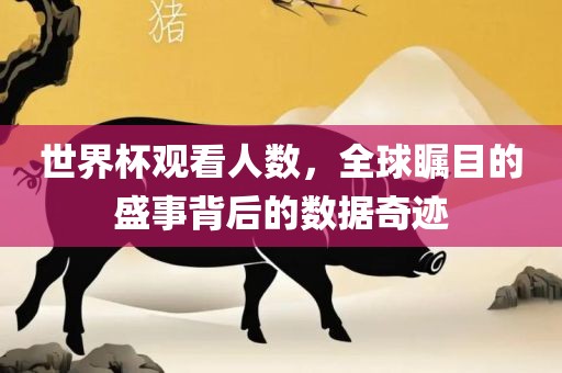 世界杯观看人数，全球瞩目的盛事背后的数据奇迹