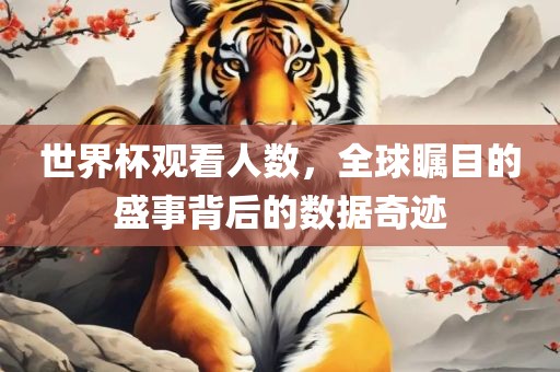 世界杯观看人数，全球瞩目的盛事背后的数据奇迹