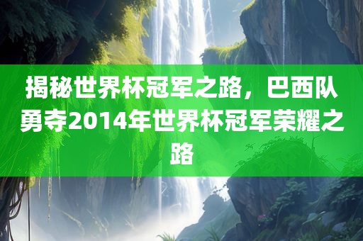 揭秘世界杯冠军之路，巴西队勇夺2014年世界杯冠军荣耀之路眉山市正发家政服务有限公司