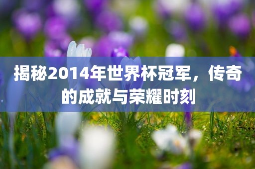 揭秘2014年世界杯冠军，传奇的成就与荣耀时刻眉山市正发家政服务有限公司