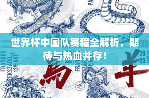 世界杯中国队赛程全解析，期待与热血并存！