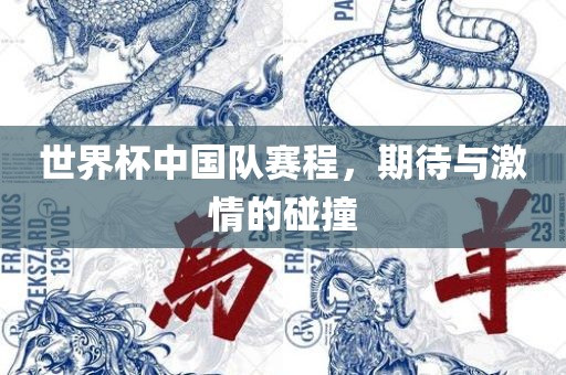 世界杯中国眉山市正发家政服务有限公司队赛程，期待与激情的碰撞