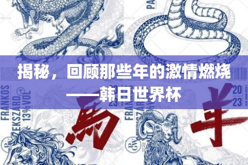 揭秘，回顾那些年的激情燃烧——韩日世界杯