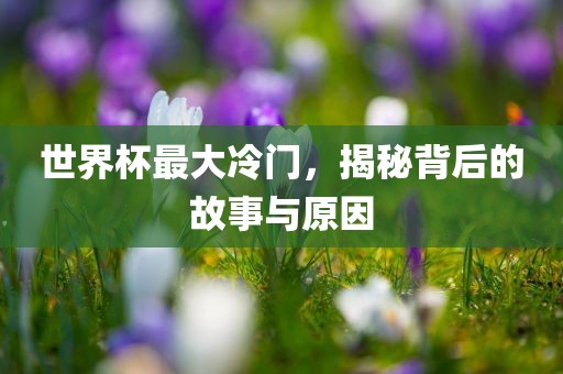 世界杯最大冷门，揭秘背后的故事与原因眉山市正发家政服务有限公司