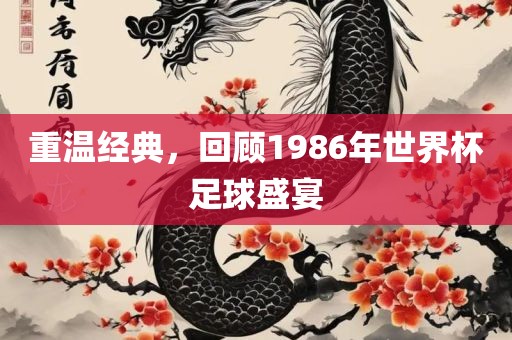重温经典，回顾1986年世界杯足球盛宴眉山市正发家政服务有限公司