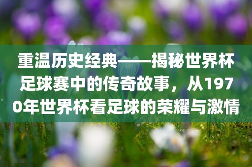 世界杯足球赛传奇故事