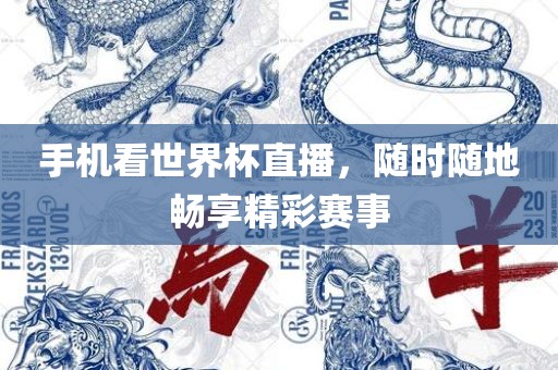 手机看世界杯直播，随时随地畅享精彩赛事眉山市正发家政服务有限公司