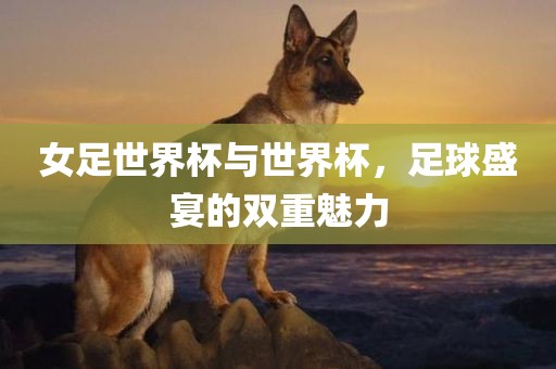 女足世界杯与世界杯，足球盛宴的双重魅力眉山市正发家政服务有限公司