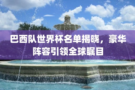 巴西队世界杯名单揭晓，豪华阵容引领全球瞩目眉山市正发家政服务有限公司