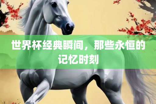 世界杯经典瞬间，那些永恒的记忆时刻眉山市正发家政服务有限公司