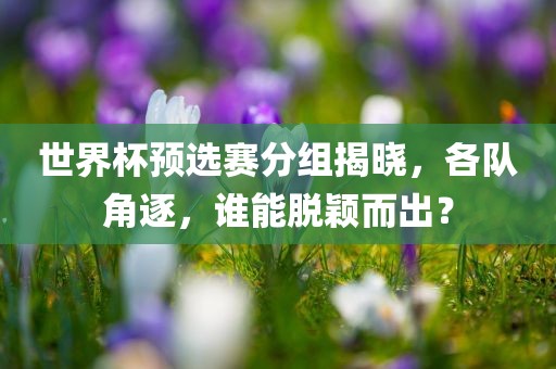 世界杯预选赛分组揭晓，各队角逐，谁能脱颖而出？眉山市正发家政服务有限公司