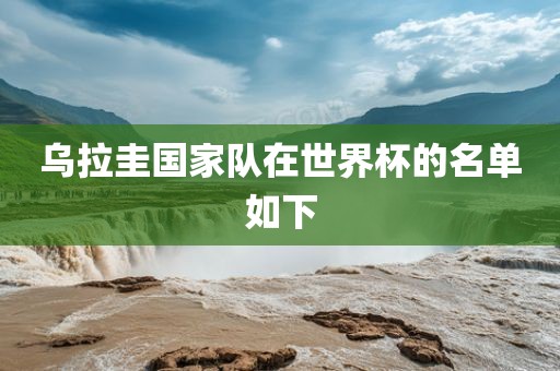 乌拉圭国家队在世界杯的名单如下眉山市正发家政服务有限公司