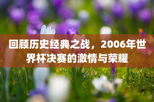 回顾历史经典之战，2006年世界杯决赛的激情与荣耀眉山市正发家政服务有限公司