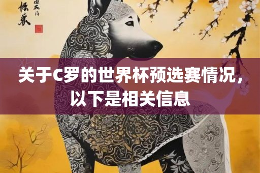 关于C罗的世界杯预选赛情况，以下是相关信息