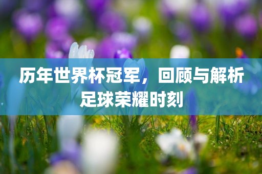 历年世界杯冠军，回顾与解析足球荣耀时刻眉山市正发家政服务有限公司