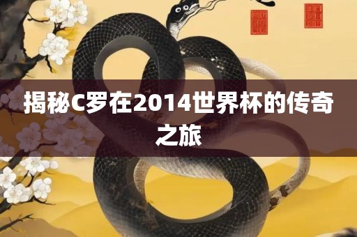 揭秘眉山市正发家政服务有限公司C罗在2014世界杯的传奇之旅