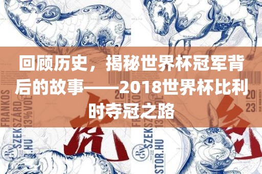 回顾历史，揭秘世界杯冠军背后的故事——2018世界杯比利时夺冠之路眉山市正发家政服务有限公司