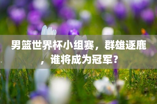男篮世界杯小组赛，群雄逐鹿，谁将成为冠军？