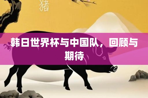 韩日世界杯与中国队，回顾与期待