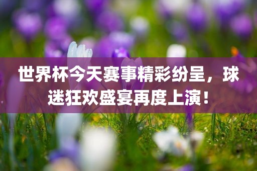 世界杯今天赛事精彩纷呈眉山市正发家政服务有限公司，球迷狂欢盛宴再度上演！