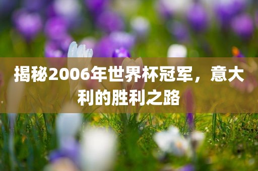 揭秘2006年世界杯冠军，意大利的胜利之路眉山市正发家政服务有限公司