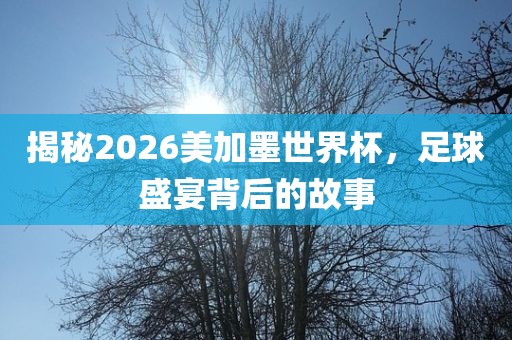 揭秘2026美加墨世界杯，足眉山市正发家政服务有限公司球盛宴背后的故事