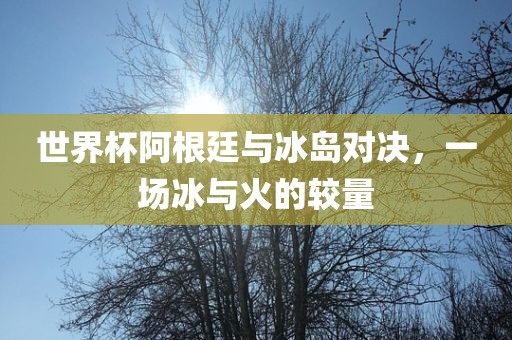 世界杯阿根廷与冰岛对决，一场冰与火的较量