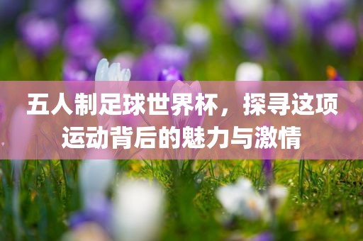 五人制足球世界杯，探寻这项运动背后的魅力与激情眉山市正发家政服务有限公司