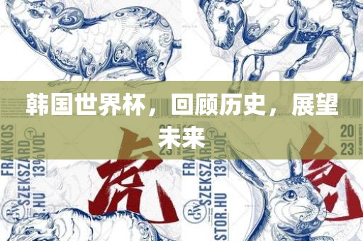韩国世界杯，回顾历史，展望未来
