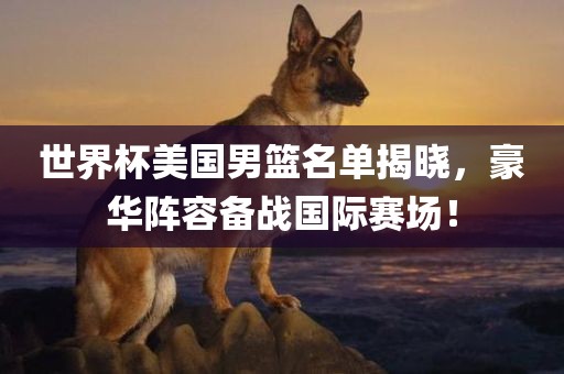世界杯美国男篮名单揭晓，豪华阵容备战国际赛场！眉山市正发家政服务有限公司