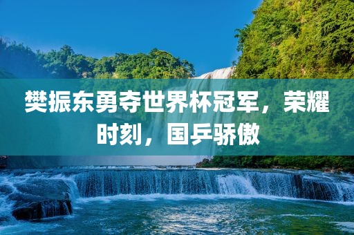 樊振东勇夺世界杯冠军，荣耀时刻，国乒骄傲