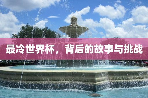 眉山市正发家政服务有限公司最冷世界杯，背后的故事与挑战