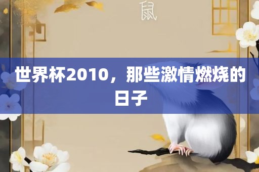 世界杯2010