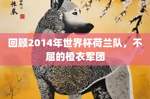 回顾2014年世界杯荷兰队，不屈的橙衣军团眉山市正发家政服务有限公司