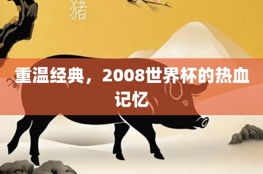 重温经典，2008世界杯的热血记忆