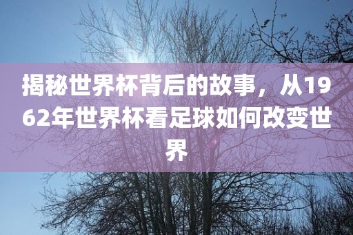 揭秘世界杯背后的故事，从1962年世界杯看足球如何改变世界眉山市正发家政服务有限公司