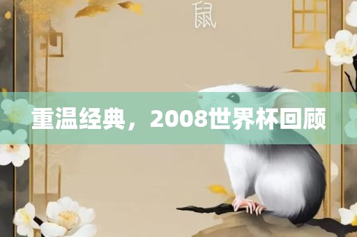 重温经典，2008世界杯回顾眉山市正发家政服务有限公司