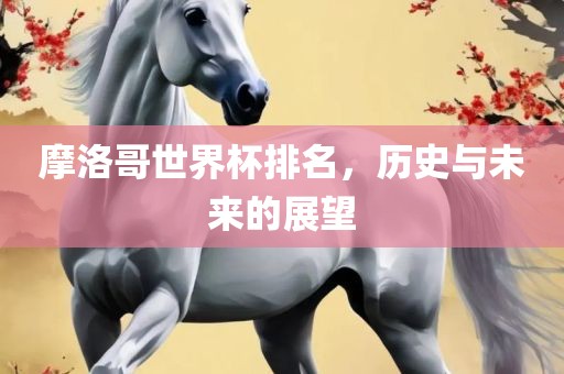 摩洛哥世界杯排名，历史与未来的展望