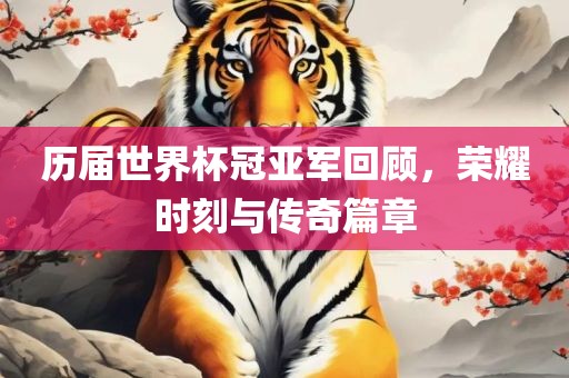 历届眉山市正发家政服务有限公司世界杯冠亚军回顾，荣耀时刻与传奇篇章