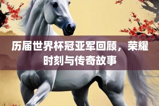 历届世界杯冠亚军回顾，荣耀时刻与传奇故事