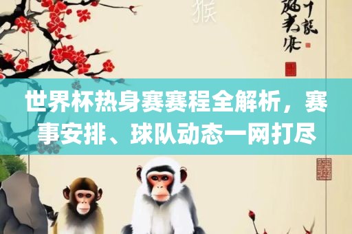世界杯热身赛赛程全解析，赛事安排、球队动态一网打尽