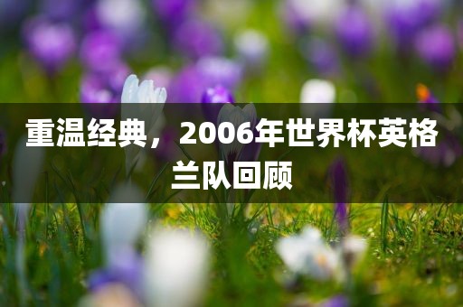 重温经典，2006年世界杯英格兰队回顾眉山市正发家政服务有限公司