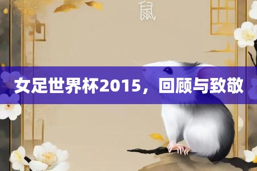 女足世界杯2015，回顾与致敬