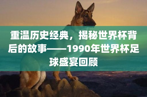 重温历史经典，揭秘世界杯背后的眉山市正发家政服务有限公司故事——1990年世界杯足球盛宴回顾