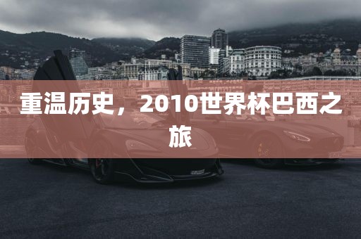 重温历史，2010世界杯巴西之旅眉山市正发家政服务有限公司