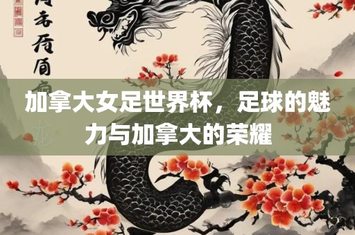 加拿大女足世界杯，足球的魅力与加拿大的荣耀