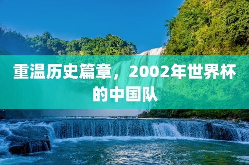 重温历史篇章，2002年世界杯的中国队眉山市正发家政服务有限公司